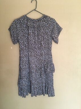 Les Coyotes De Paris